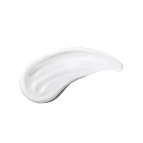 Anti-Wrinkle Night Cream - Image 3