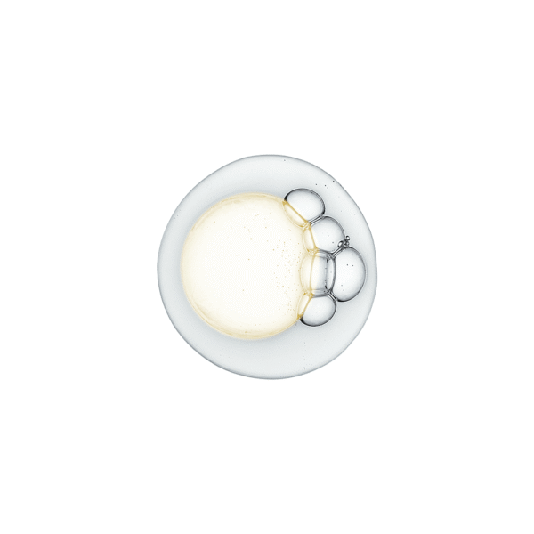 Micellar Biphasic - Image 4